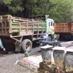 रतलाम: अवैध परिवहन में तीन डंपर जप्त
