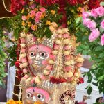 मंदसौर के राजाधिराज भगवान पशुपतिनाथ की राजसी सवारी बड़े धूम धाम से निकली