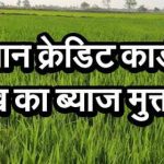 किसान क्रेडिट कार्ड पर ₹1 लाख तक का ब्याज मुक्त लोन देने की तैयारी