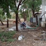 धामनोद में मुलभुत सुविधा का बुरा हाल, पेयजल को तरसते लोग, सडकों पर कूड़ादान-
