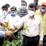 कलेक्टर गोपालचन्द्र डाड कृषि वैज्ञानिकों को साथ लेकर पहुंचे किसानो के खेतों में-