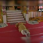 राम मंदिर की नींव रख बोले मोदी, सदियों का सपना पूरा हुआ, आज पूरा भारत भावुक