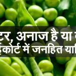 मटर अनाज है या दाल, शिवराज सिंह सरकार को पता नहीं, हाईकोर्ट में जनहित याचिका-