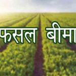 किसान भाई रबी फसलों का बीमा कराए –