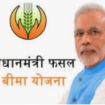 खरीफ फसलों का बीमा कराने की अंतिम तिथि 31 जुलाई