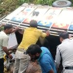 Ratlam:गोवंश से भरी पिकअप पलटी, हिंदू संगठनों ने की कार्रवाई की मांग, थाना प्रभारी ने कहा आरोपियों को चुन-चुन कर लाएंगे