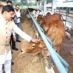 MP News:पशुपालन से किसानों की बढ़ेगी आय, बनेंगे आत्मनिर्भर