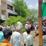 रतलाम/ सैलाना में नीम का पेड़ गिरा, बड़ा हादसा टला; एक घायल, खुदाई पर उठे सवाल