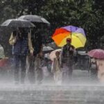 MP में मानसून सक्रिय, बड़वानी-खंडवा में रेड अलर्ट, 19 जिलों में भारी बारिश की चेतावनी
