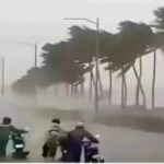 MP में फिर बदला मौसम, कई जिलों में भारी बारिश का अलर्ट, IMD ने जारी की चेतावनी